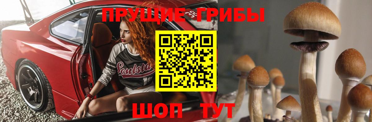 Галлюциногенные грибы мухоморы  Вход с VPN  Рассказово 