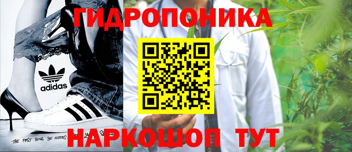 Каннабис сатива  Бошки марихуана MAZAR  Рассказово  Шишки марихуана Ganja  Вход с VPN  Конопля гибрид 